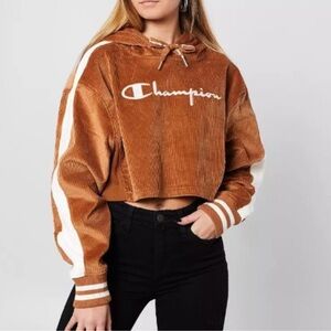 Champion | Corduroy Sepia Cropped Hoodie in Light Brown | Medium | EUC